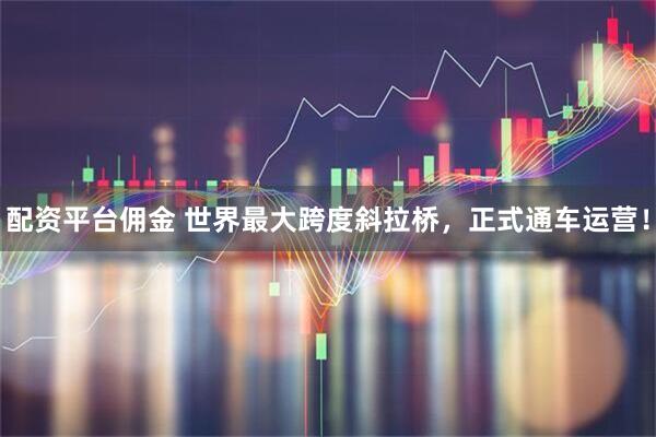 配资平台佣金 世界最大跨度斜拉桥，正式通车运营！