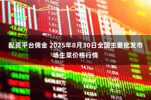 配资平台佣金 2025年8月30日全国主要批发市场生菜价格行情