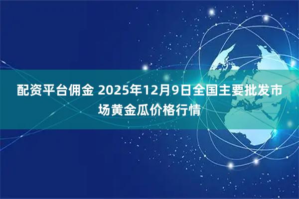 配资平台佣金 2025年12月9日全国主要批发市场黄金瓜价格行情