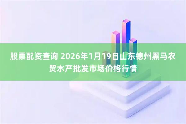股票配资查询 2026年1月19日山东德州黑马农贸水产批发市场价格行情
