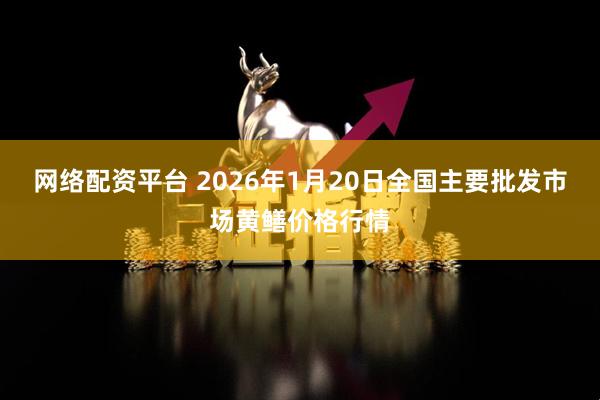 网络配资平台 2026年1月20日全国主要批发市场黄鳝价格行情